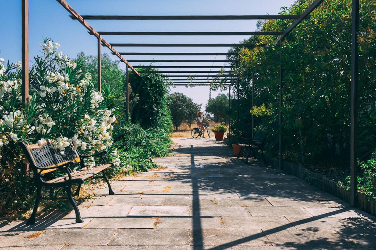 Mourão Monte Do Colmeal - Country House & Wineゲストハウス エクステリア 写真